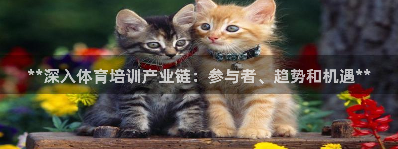 富联集团最新消息新闻