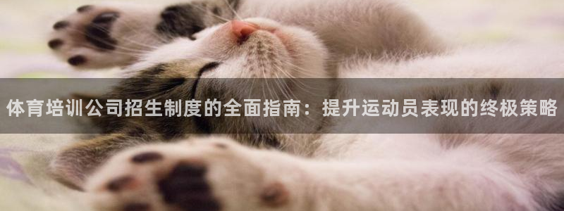 富联娱乐平台是什么平台：体育培训公司招生制度的全面指