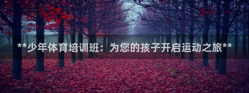富联娱乐登录注册入口官网网址：**少年体育培训班：为