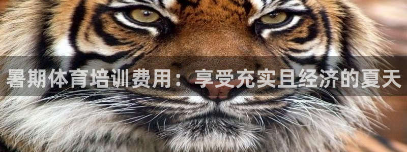 富联小区：暑期体育培训费用：享受充实且经济的夏天