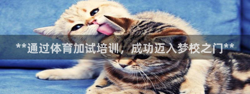 富联官网注册：**通过体育加试培训，成功迈入梦校之门