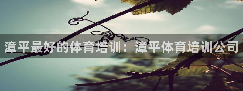 富联娱乐爱7O777：漳平最好的体育培训：漳平体育培