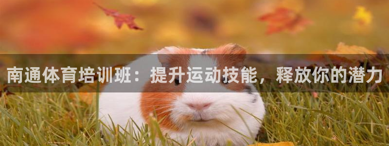 富联公寓：南通体育培训班：提升运动技能，释放你的潜力