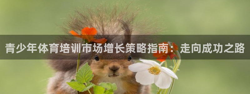 富联娱乐嗯 5O6917 富联：青少年体育培训市场增