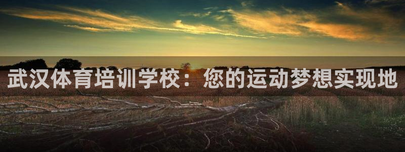 富联平台官网下载：武汉体育培训学校：您的运动梦想实现