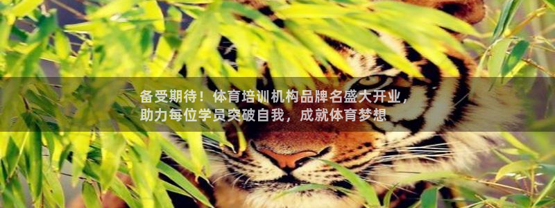 富联娱乐靠 58534I 富联：备受期待！体育培训机