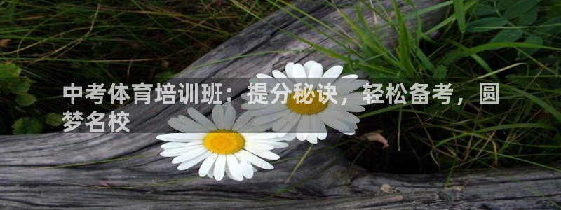 富联物业：中考体育培训班：提分秘诀，轻松备考，圆
梦