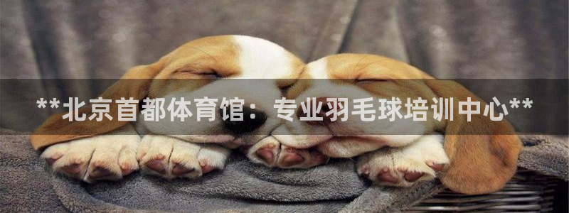 富联平台官网登录入口：**北京首都体育馆：专业羽毛球