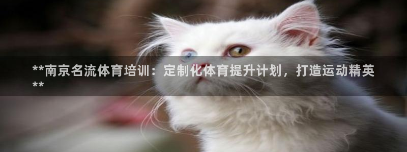 富联申购是什么股票啊：**南京名流体育培训：定制化体