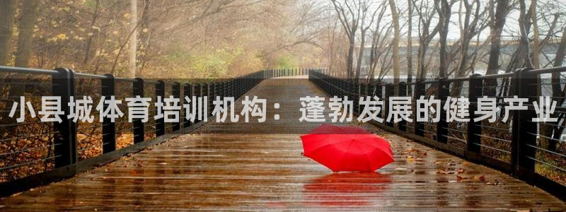 富联平台界7O777：小县城体育培训机构：蓬勃发展的