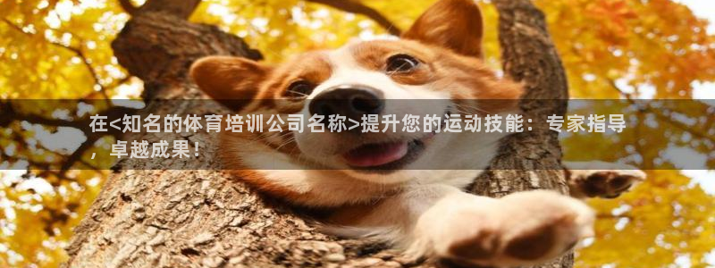富联娱乐靠 58534I 富联：在<知名的体育培训公