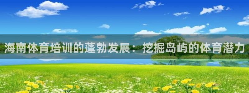 富联娱乐代理怎么做：海南体育培训的蓬勃发展：挖掘岛屿