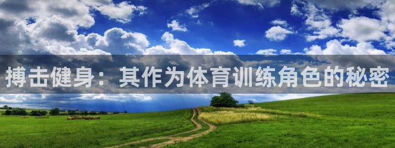 富联申购中签什么时候知道：搏击健身：其作为体育训练角