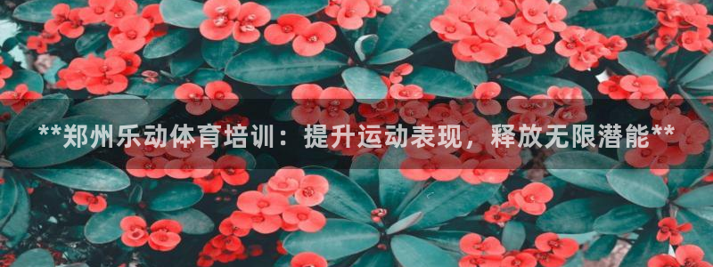 富联平台去 58534I 平台：**郑州乐动体育培训