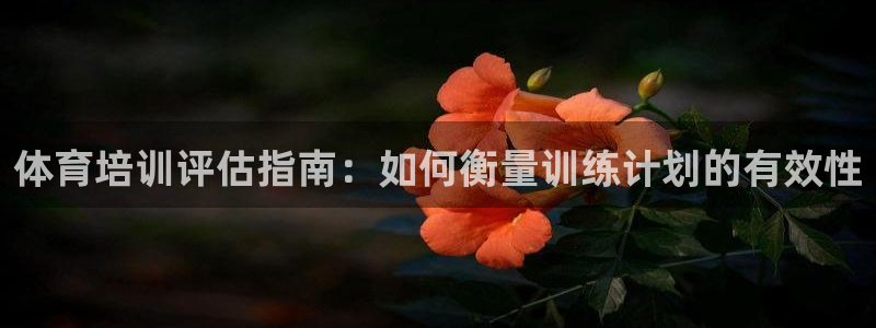 富联平台飞 411o31 富联：体育培训评估指南：如