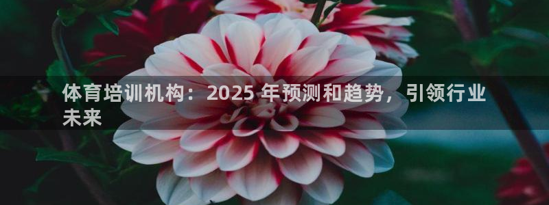 富联科技上市了吗最近：体育培训机构：2025 年预测