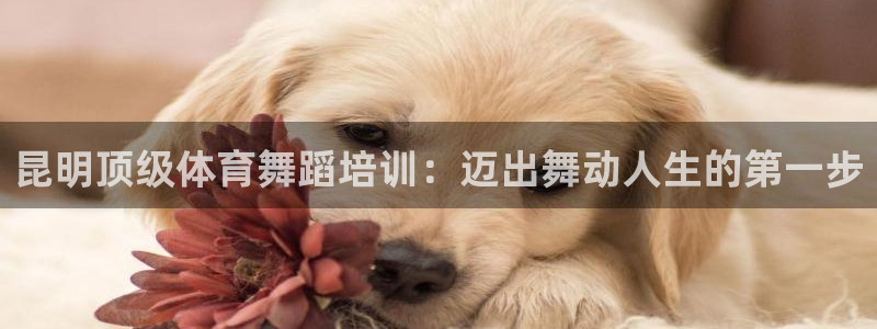 富联娱乐平台能挣到钱吗：昆明顶级体育舞蹈培训：迈出舞