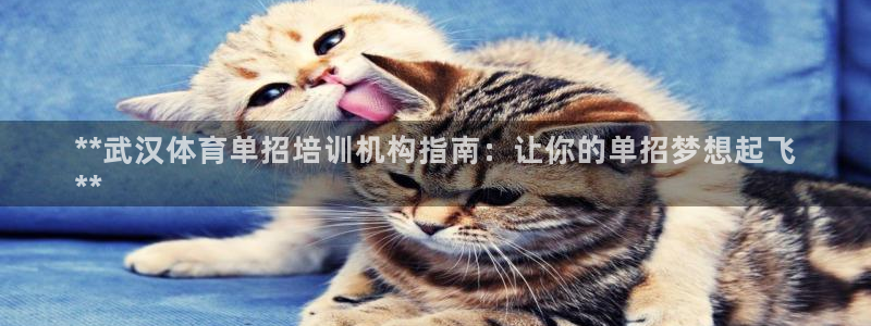 富联官方网站入口网址是什么：**武汉体育单招培训机构