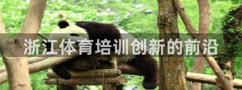 富联申购中签号：浙江体育培训创新的前沿