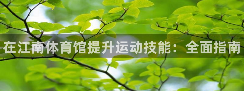富联官方网站入口下载安装：在江南体育馆提升运动技能：