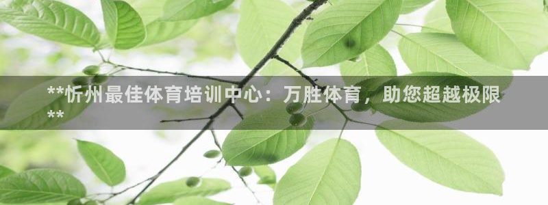 富联娱乐平台怎么样：**忻州最佳体育培训中心：万胜体