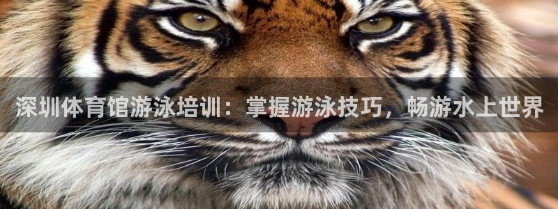 富联平台官网：深圳体育馆游泳培训：掌握游泳技巧，畅游