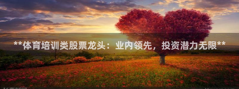 富联网是什么意思：**体育培训类股票龙头：业内领先，