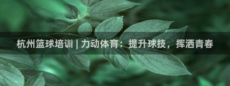 富联官网注册流程图：杭州篮球培训 | 力动体育：提升