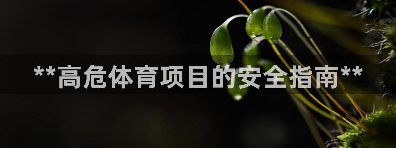 富联是什么软件：**高危体育项目的安全指南**