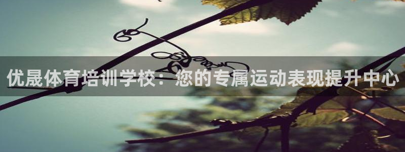 富联平台登录注册：优晟体育培训学校：您的专属运动表现