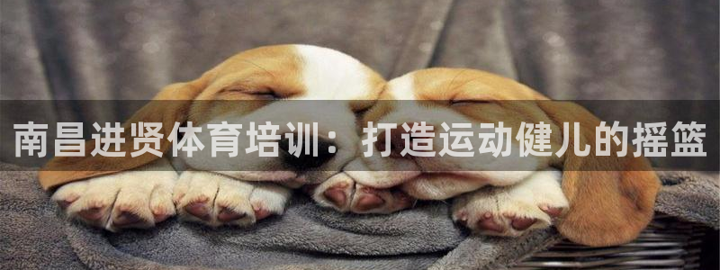富联娱乐口 411O31 娱乐：南昌进贤体育培训：打