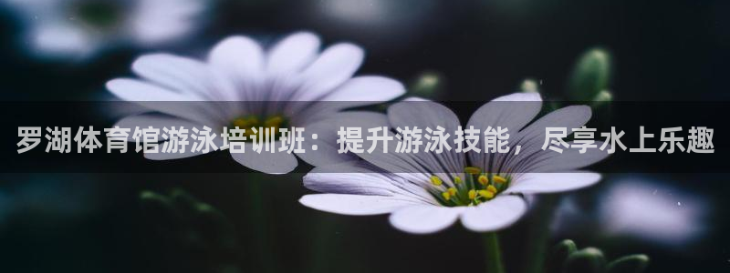 富联娱乐测速地址