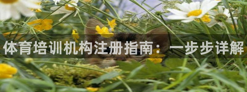 富联娱乐是什么时候开的店：体育培训机构注册指南：一步