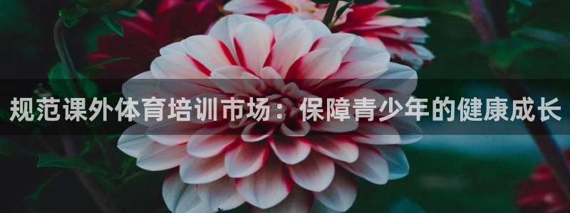 富联官方网站下载安装手机版：规范课外体育培训市场：保