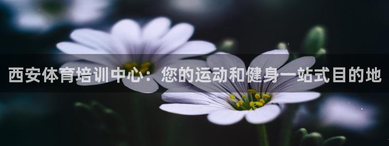 富联平台安装app：西安体育培训中心：您的运动和健身
