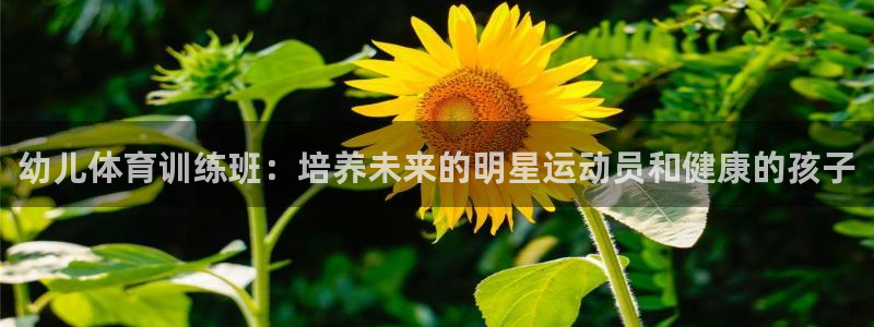 富联官方网站下载app：幼儿体育训练班：培养未来的明