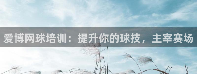 富联平台登录网址：爱博网球培训：提升你的球技，主宰赛