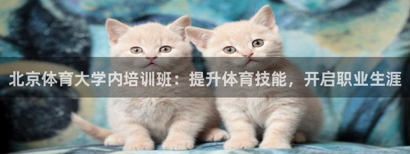 富联娱乐登录注册入口官网下载安卓：北京体育大学内培训