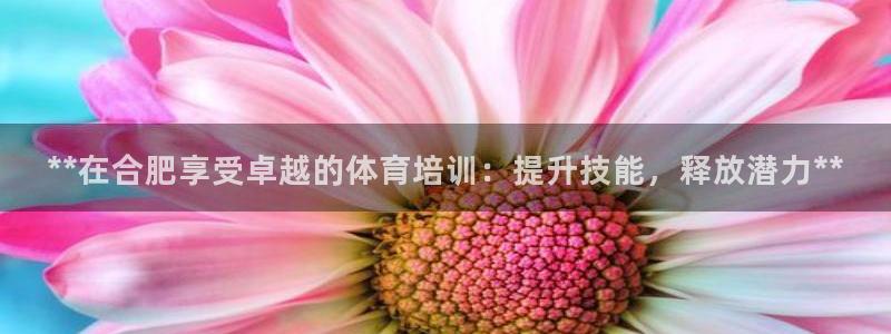 富联官网注册：**在合肥享受卓越的体育培训：提升技能