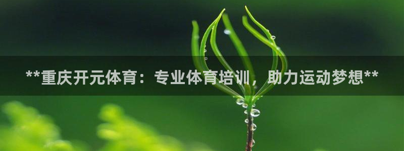 富联平台开户条件：**重庆开元体育：专业体育培训，助