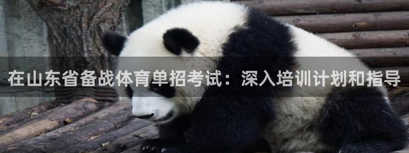 富联娱乐正规吗安全吗：在山东省备战体育单招考试：深入