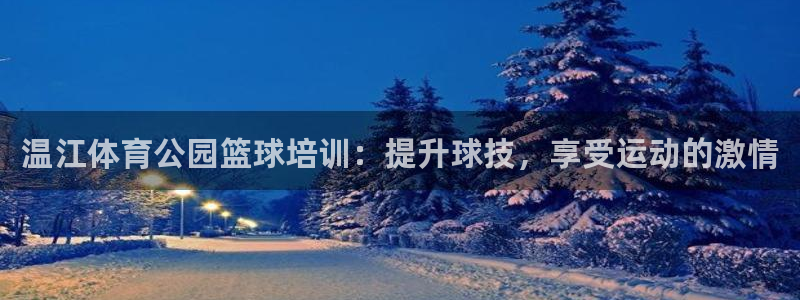 富联展示中心：温江体育公园篮球培训：提升球技，享受运