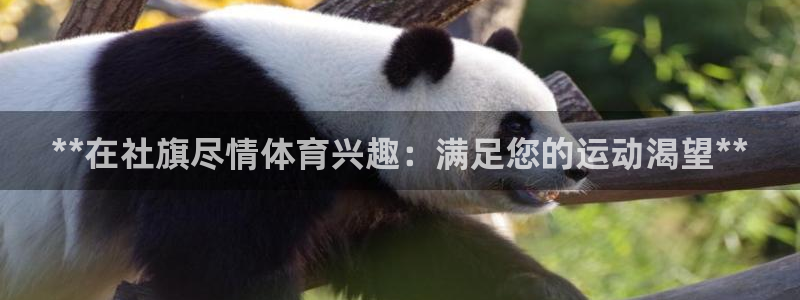 富联小区：**在社旗尽情体育兴趣：满足您的运动渴望*