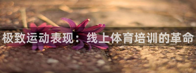 富联娱乐平台开户条件：极致运动表现：线上体育培训的革
