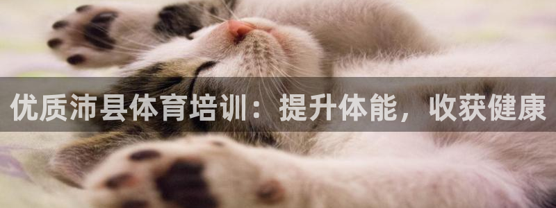 富联娱乐总代理是谁