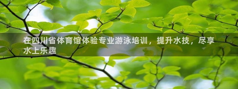 富联娱乐李 411O31 娱乐：在四川省体育馆体验专业游泳培