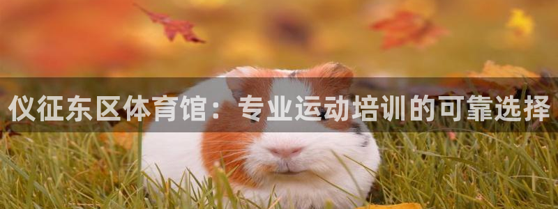 富联股份股票怎么样