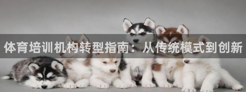 富联展示中心：体育培训机构转型指南：从传统模式到创新