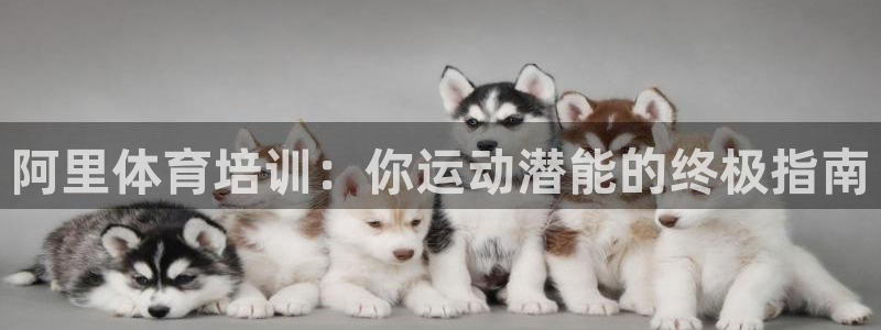 富联平台先选 58534I 富联：阿里体育培训：你运