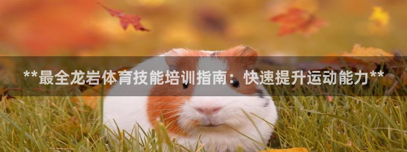 富联官网代理系列产品：**最全龙岩体育技能培训指南：
